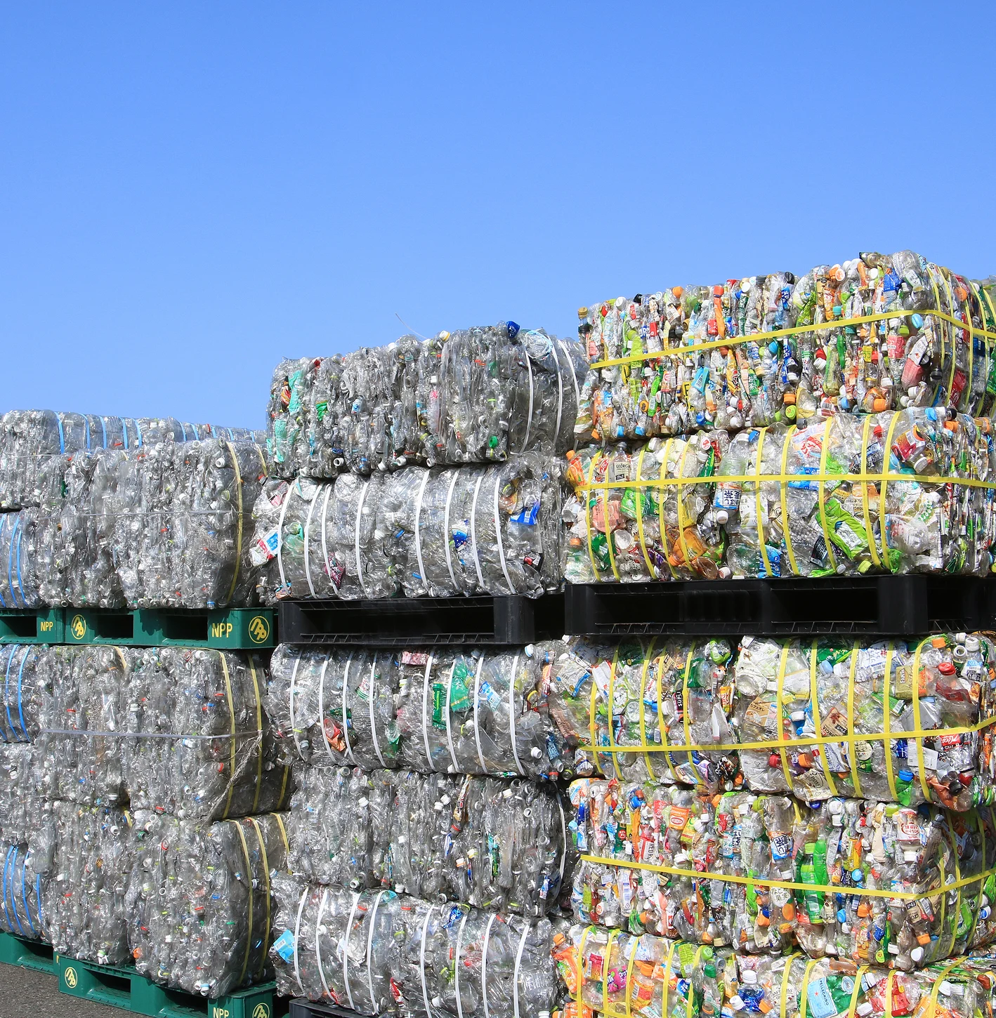 SUHUI Successfully Concludes Chinaplas 2025 Guangzhou